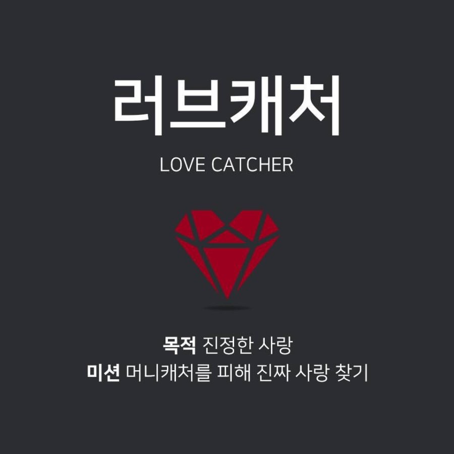 Love Catcher Season 1